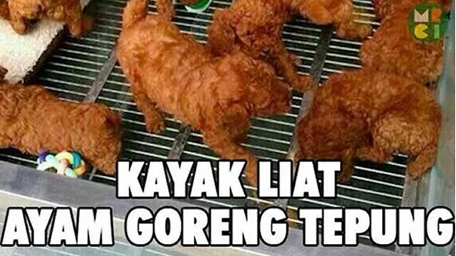 15 Meme Lucu Penglihatan Orang Puasa Ini Bikin Ngakak Humor Meme